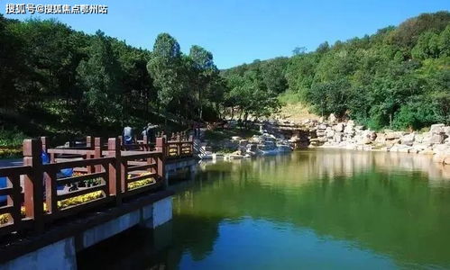 垂钓园收费小票-第1张图片-彩蝶百科