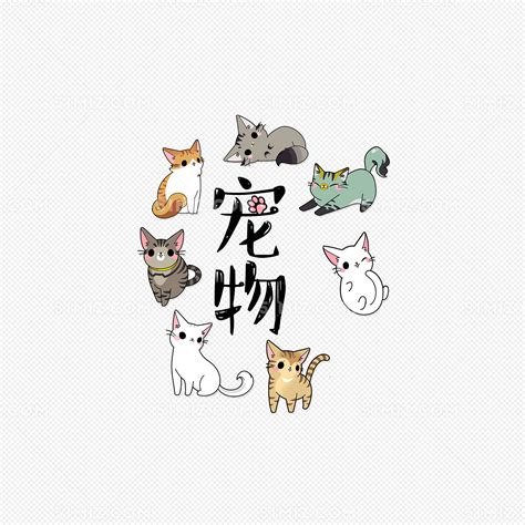 变身动画有宠物吗-第1张图片-彩蝶百科 变身动画有宠物吗-第1张图片-彩蝶百科