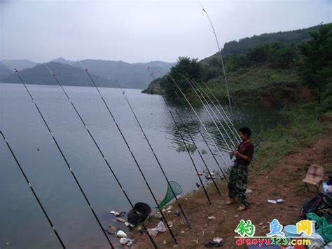 宿州沱河有什么鱼-第1张图片-彩蝶百科