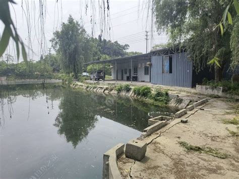 杨柳垂钓园电话号码多少-第1张图片-彩蝶百科