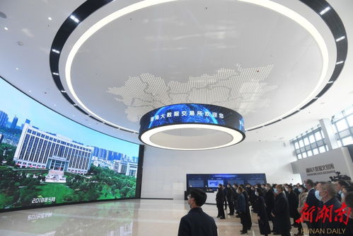 1.大数据技术交易中心的作用-第1张图片-彩蝶百科