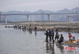 芜湖长江钓鱼违法吗-第1张图片-彩蝶百科