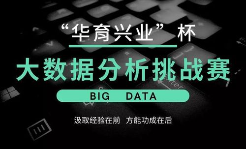 大数据分析比赛内容-第1张图片-彩蝶百科