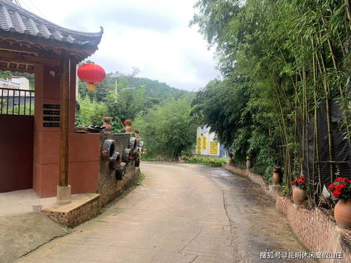 昆明附近钓鱼的地方及收费-第1张图片-彩蝶百科