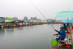 沈阳野餐垂钓地方-第1张图片-彩蝶百科