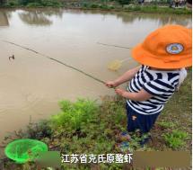 眉山哪儿有钓龙虾的-第1张图片-彩蝶百科 眉山哪儿有钓龙虾的-第1张图片-彩蝶百科