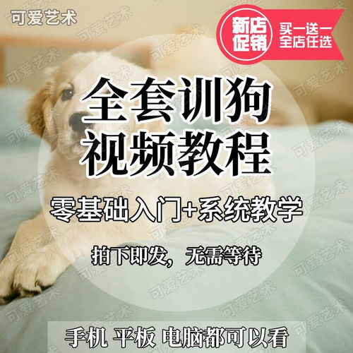 导语-第1张图片-彩蝶百科