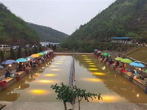 琼海钓鱼-第1张图片-彩蝶百科