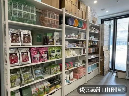上蔡的宠物店在哪-第1张图片-彩蝶百科