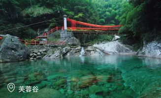 芙蓉南路垂钓中心电话-第1张图片-彩蝶百科
