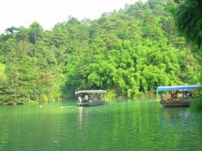 青龙湖公园钓鱼钓位-第1张图片-彩蝶百科