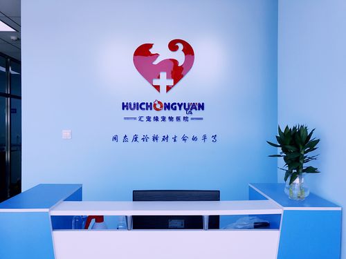 杭州宠物治疗中心-第1张图片-彩蝶百科 杭州宠物治疗中心-第1张图片-彩蝶百科