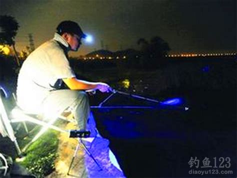 夜晚垂钓技巧-第1张图片-彩蝶百科
