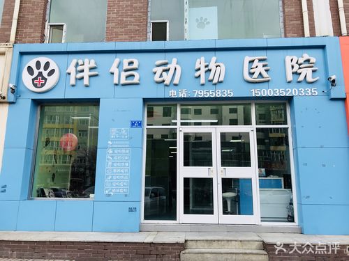 宠物伴侣宠物医院：关爱您的宠物伴侣-第1张图片-彩蝶百科