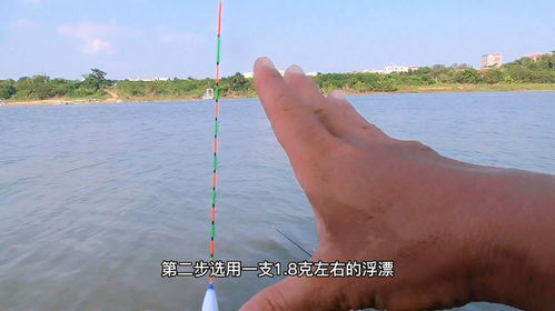 每钓一次鱼都要调漂吗-第1张图片-彩蝶百科