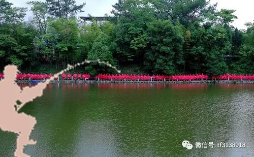 一、垂钓地点-第1张图片-彩蝶百科 一、垂钓地点-第1张图片-彩蝶百科