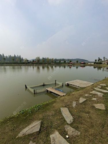 南京附近垂钓园-第1张图片-彩蝶百科