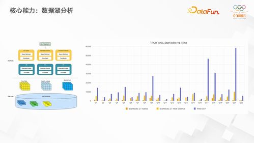 海南大数据开源前景分析-第1张图片-彩蝶百科