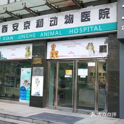 1.西安市宠物医院总览-第1张图片-彩蝶百科 1.西安市宠物医院总览-第1张图片-彩蝶百科