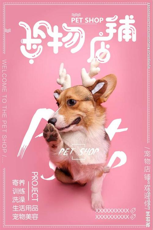 宠物品牌海报-第1张图片-彩蝶百科