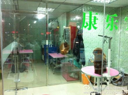 泉州宠物诊所-第1张图片-彩蝶百科 泉州宠物诊所-第1张图片-彩蝶百科