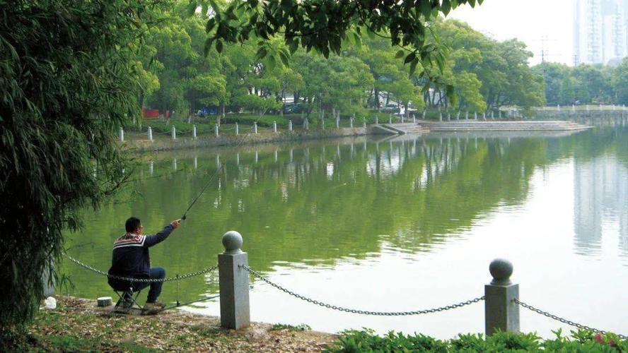 江中垂钓图-第1张图片-彩蝶百科
