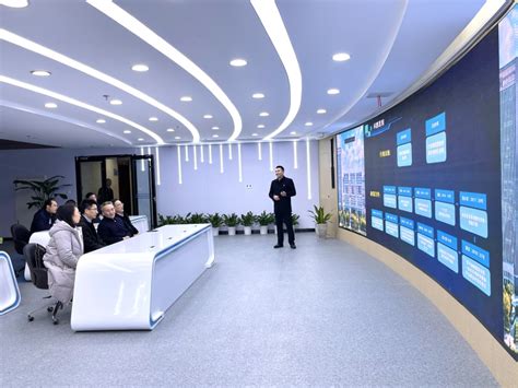 1.项目规模与复杂性-第1张图片-彩蝶百科