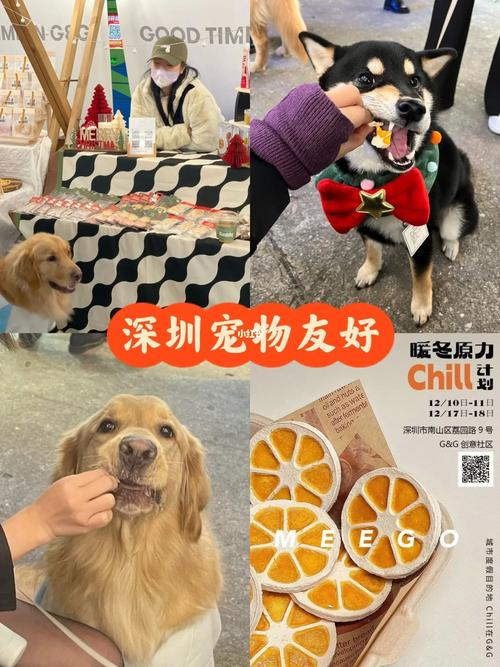 1.宠物赛事-第1张图片-彩蝶百科