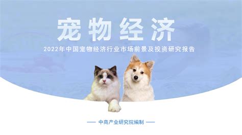 宠物生化全套是多少项目-第1张图片-彩蝶百科