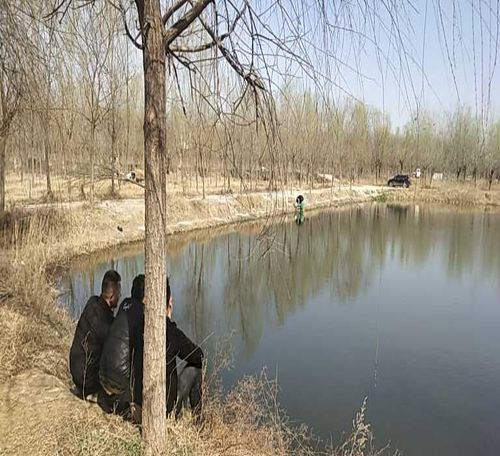 营口森林公园垂钓场介绍及注意事项-第1张图片-彩蝶百科 营口森林公园垂钓场介绍及注意事项-第1张图片-彩蝶百科