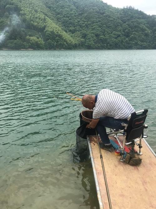 太平湖免费垂钓区-第1张图片-彩蝶百科
