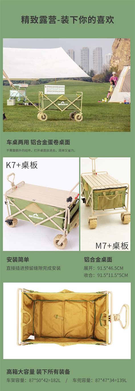 1.钓竿与钓线-第1张图片-彩蝶百科