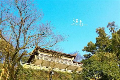 铜陵钓场大全-第1张图片-彩蝶百科