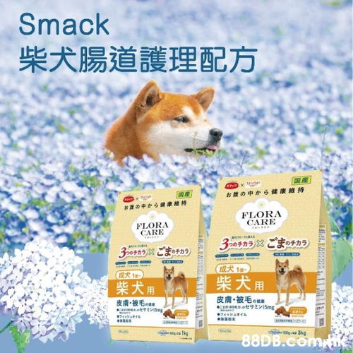 宠物生化全套包括哪些-第1张图片-彩蝶百科