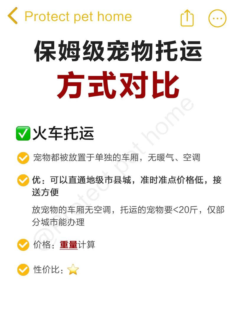 空运宠物有危险吗安全吗-第1张图片-彩蝶百科 空运宠物有危险吗安全吗-第1张图片-彩蝶百科