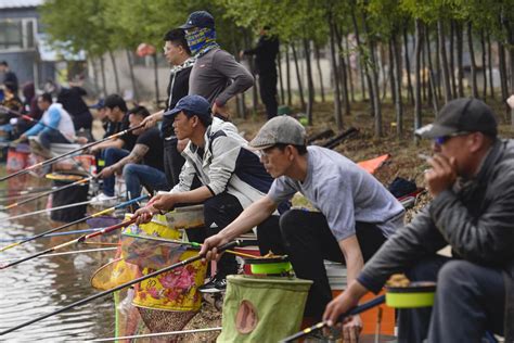 阜阳钓鱼野钓好去处-第1张图片-彩蝶百科