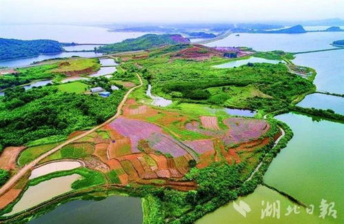 黄石阳新垂钓指南-第1张图片-彩蝶百科