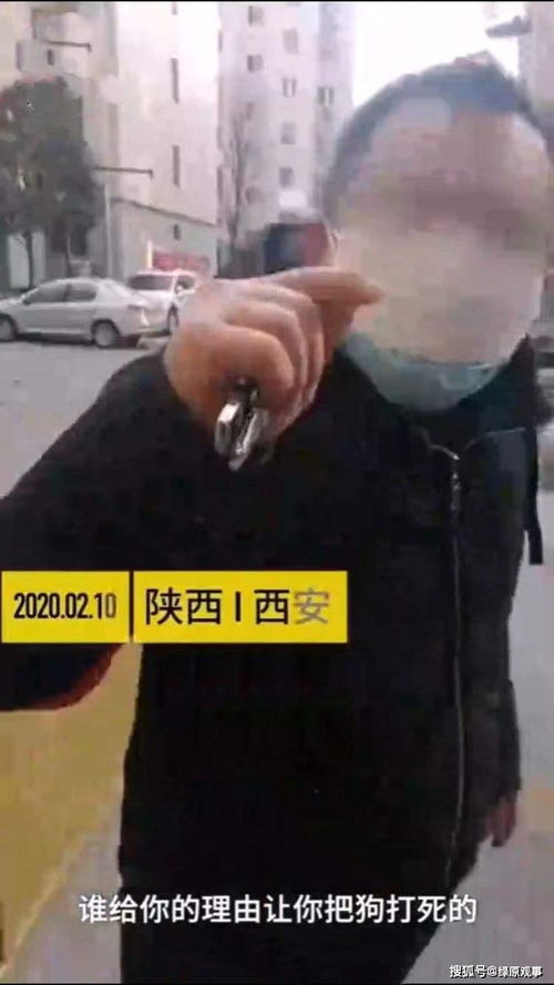 防疫打死宠物狗-第1张图片-彩蝶百科 防疫打死宠物狗-第1张图片-彩蝶百科