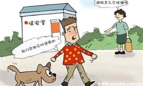 开车撞死宠物可以走保险吗-第1张图片-彩蝶百科