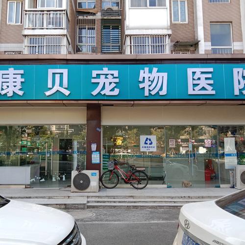 松江宠物医院-第1张图片-彩蝶百科 松江宠物医院-第1张图片-彩蝶百科