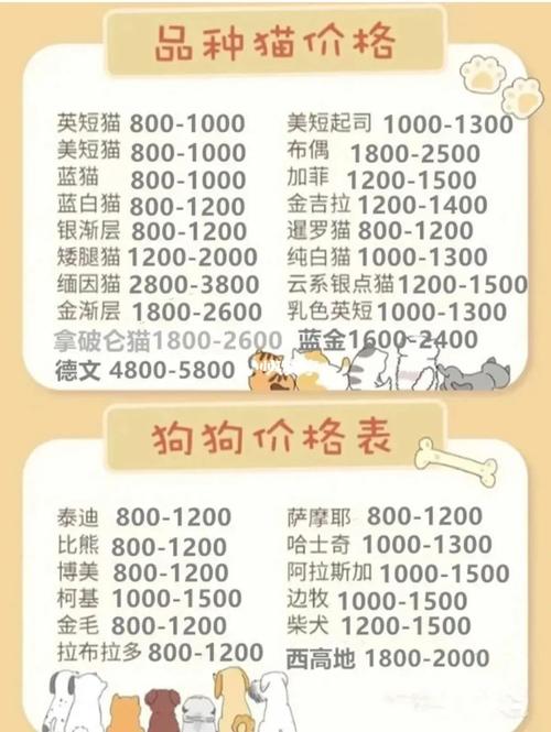杭州开一个宠物店要多少钱-第1张图片-彩蝶百科 杭州开一个宠物店要多少钱-第1张图片-彩蝶百科