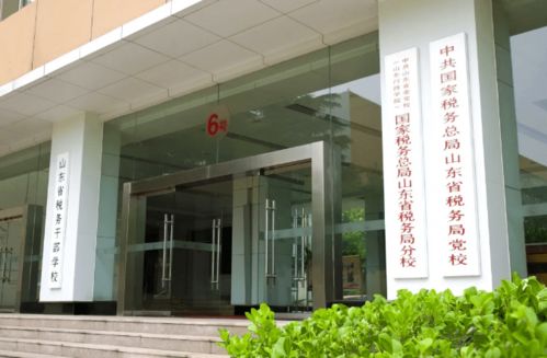 泰安市大数据局长-第1张图片-彩蝶百科