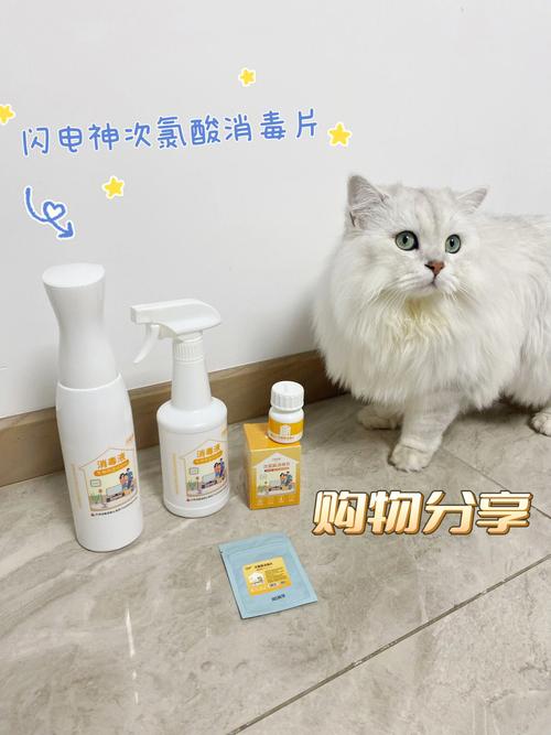 家有宠物的杀菌方法-第1张图片-彩蝶百科