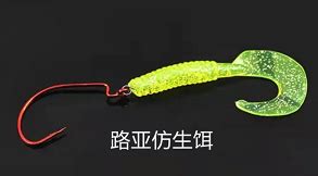 西双版纳有鱼吗-第1张图片-彩蝶百科
