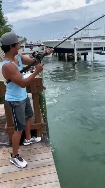 海口南港坐船步骤-第1张图片-彩蝶百科 海口南港坐船步骤-第1张图片-彩蝶百科