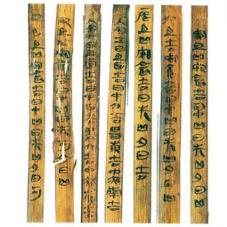 青海古墓竹简揭秘历史深处的马谡之死-第1张图片-彩蝶百科 青海古墓竹简揭秘历史深处的马谡之死-第1张图片-彩蝶百科