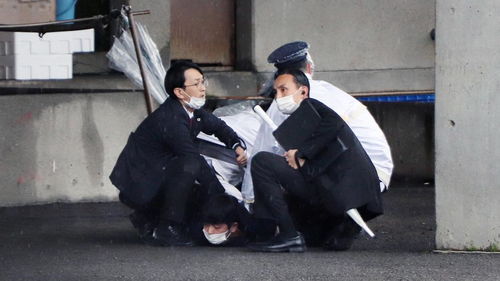 丢人丢到国外 中国一留学生被京都大学撤销博士学位-第1张图片-彩蝶百科