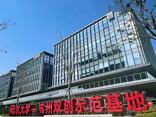 传奇三十年湖南富丽华大酒店与集体经济的蓬勃发展-第1张图片-彩蝶百科