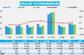 大降价策略中国市场的销量狂潮-第1张图片-彩蝶百科 大降价策略中国市场的销量狂潮-第1张图片-彩蝶百科