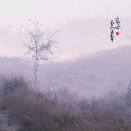 我们无法阻止时光的流转,但没有理由拒绝阳光的灿烂-第1张图片-彩蝶百科 我们无法阻止时光的流转,但没有理由拒绝阳光的灿烂-第1张图片-彩蝶百科